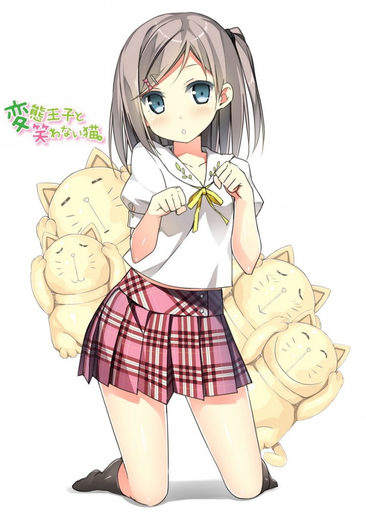 【2024セール】変猫　変態王子と笑わない猫　筒隠月子　マルチクロス？ アニメ/ゲーム