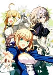 Fate/stay night,Fate/hollow ataraxia【セイバー,セイバー・ブライド,セイバー（Fate/EXTRA）,ジャンヌ・ダルク（Fate/Apocrypha）,ルーラー（Fate/Apocrypha）】武内崇 #102728
