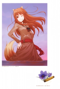 spice_and_wolf_165-203x300.jpg