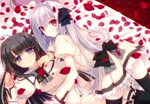 【年始限定価格】桜小路ルナ　花之宮瑞穂　鈴平ひろ　版画【ROSE GARDEN】 Navel 鈴平ひろ 月に寄りそう乙女の作法 桜小路ルナ 抱き枕