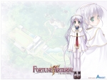 FORTUNE ARTERIAL【東儀白】べっかんこう #197761