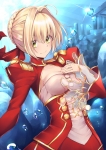 Fate/stay night,Fate/EXTRA【セイバー・ブライド,セイバー（Fate/EXTRA）】 #202428
