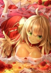 Fate/stay night,Fate/EXTRA,Fate/Grand Order【セイバー・ブライド,セイバー（Fate/EXTRA）】 #233378
