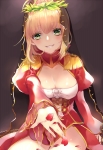 Fate/stay night,Fate/EXTRA,Fate/Grand Order【セイバー・ブライド,セイバー（Fate/EXTRA）】 #255987