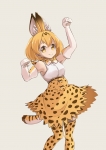 けものフレンズ【サーバル】 #269032