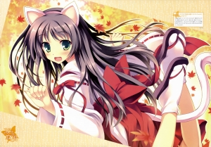 快盗天使ツインエンジェル【葉月クルミ】 壁紙 | tsundora.com