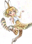 けものフレンズ【サーバル】 #272243