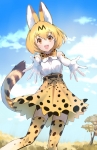 けものフレンズ【サーバル】 #271267