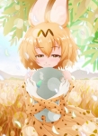 けものフレンズ【サーバル】 #271332