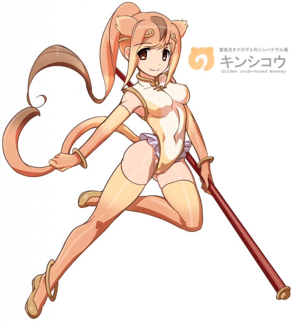 けものフレンズ キンシコウ 壁紙 Tsundora Com