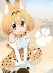 けものフレンズ【サーバル】 #274578