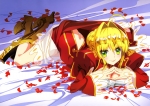 Fate/stay night,Fate/EXTRA Last Encore【セイバー・ブライド,セイバー（Fate/EXTRA）】 #282585