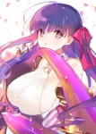 Fate/stay night,Fate/Grand Order【パッションリップ】 #286645