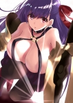Fate/stay night,Fate/EXTRA CCC,Fate/Grand Order【パッションリップ】 #285971