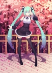 ボーカロイド【初音ミク】 #293895