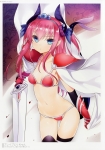 Fate/EXTRA CCC,Fate/Grand Order,Fate/stay night【ランサー（Fate/EXTRA）】 #308419