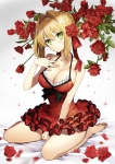 Fate/stay night,Fate/EXTRA【セイバー・ブライド,セイバー（Fate/EXTRA）】 #308457