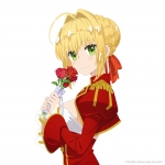 Fate/stay night,Fate/Grand Order,Fate/EXTRA Last Encore【セイバー・ブライド,セイバー（Fate/EXTRA）】 #311229