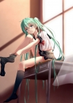 ボーカロイド【初音ミク】 #315686