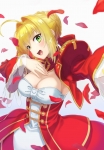 Fate/stay night,Fate/Grand Order,Fate/EXTRA Last Encore【セイバー・ブライド,セイバー（Fate/EXTRA）】 #316679