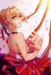 Fate/EXTRA,Fate/Grand Order,Fate/stay night【セイバー・ブライド,セイバー（Fate/EXTRA）】 #319917