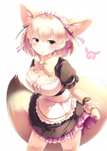 けものフレンズ フェネック アライグマ 壁紙 Tsundora Com