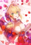 Fate/stay night,Fate/Grand Order【セイバー・ブライド,セイバー（Fate/EXTRA）】 #342433