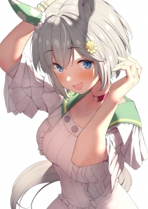 セイウンスカイ 壁紙一覧 Tsundora Com